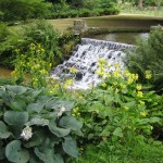 Best Gardens in the UK