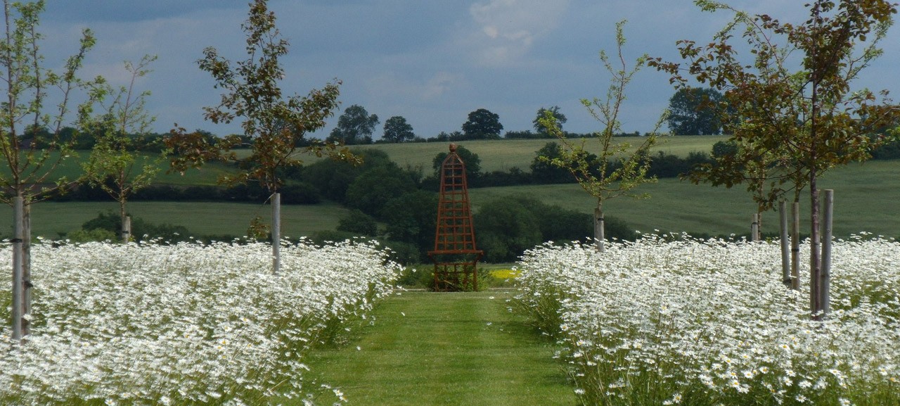 Warwickshire Country Garden rural estate Whatcote wildflower meadow